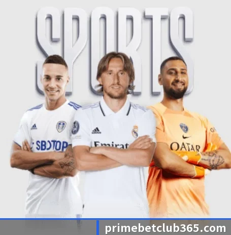 prime体育 APP